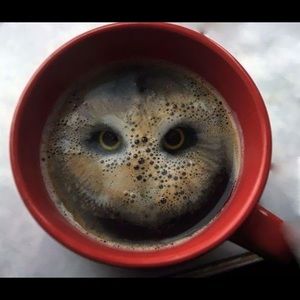 Meet your Posher, Jaimes